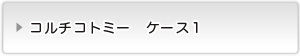 コルチコトミ―ケース１