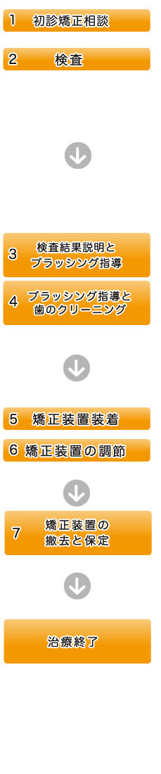 矯正治療の流れ　図